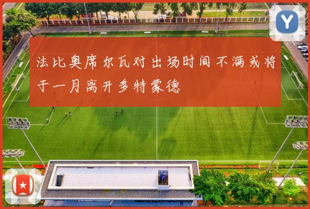 法比奥席尔瓦对出场时间不满或将于一月离开多特蒙德