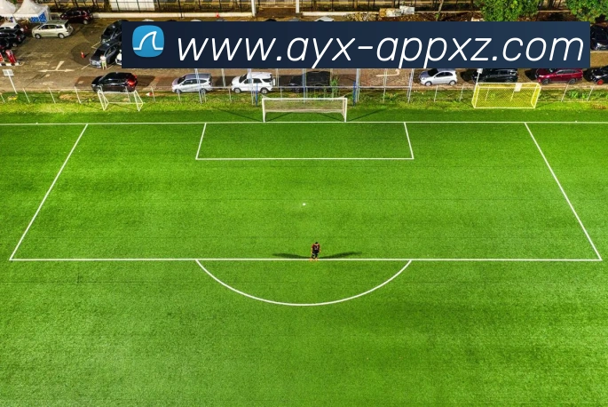 App Interface Preview