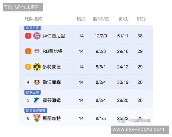 德甲球队身价排行榜揭晓拜仁遥遥领先多特药厂莱比锡紧随其后